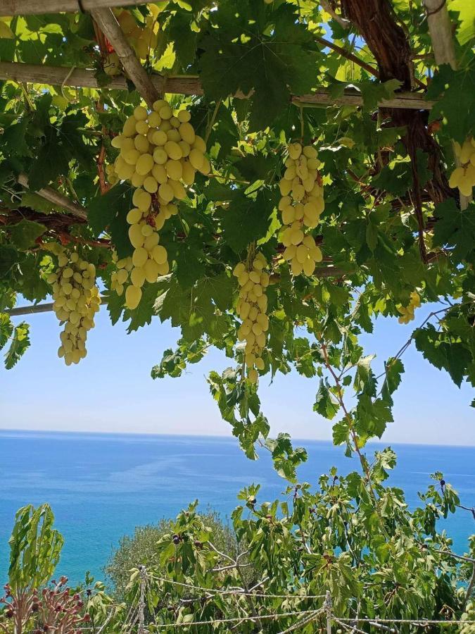 Giota & Antonia Apartments Koroni  Luaran gambar